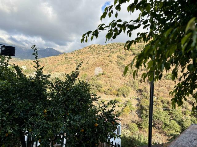 Casa en alquiler en Loma de la Cuesta del Molino, La Axarquía