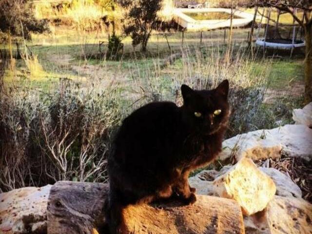 Casa en alquiler en Chella, Valencia