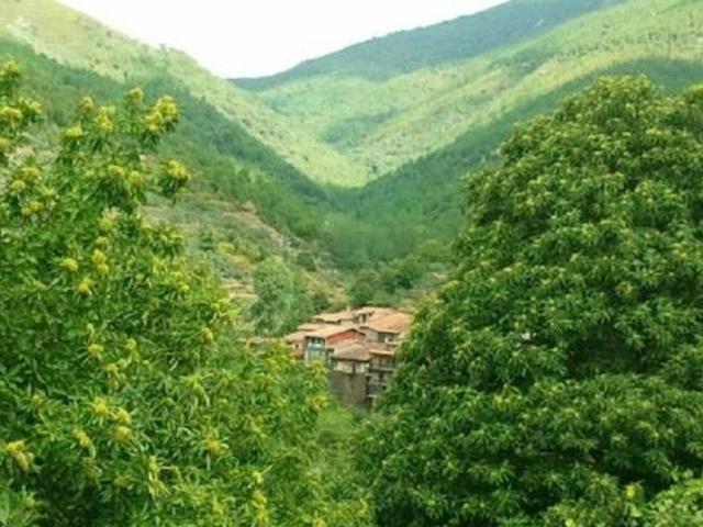 Casa en alquiler en Robledillo De Gata, Extremadura