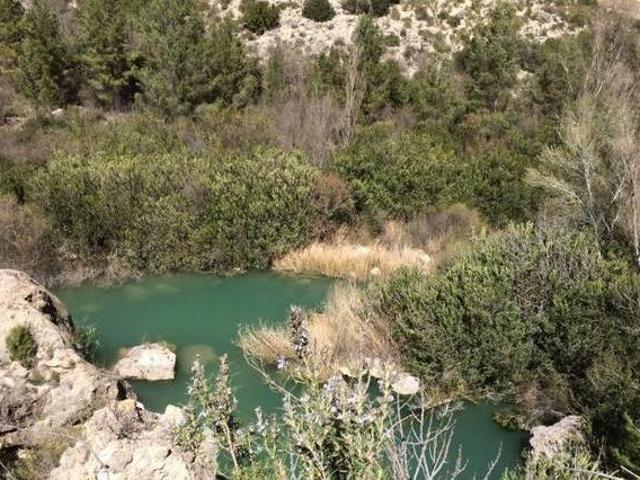 Casa en alquiler en Carcelén, Castilla-La Mancha