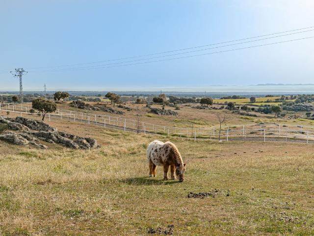 Chalet en venta en El Puente Del Arzobispo, Castilla-La Mancha