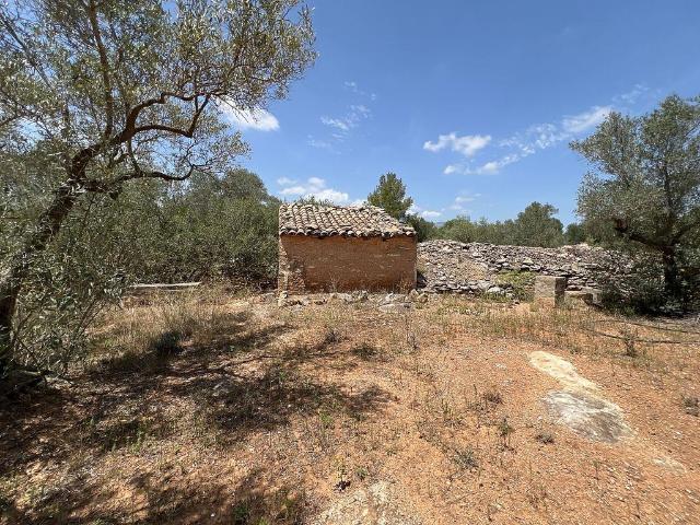 Casa Rural en venta en Baix Ebre, Catalunya