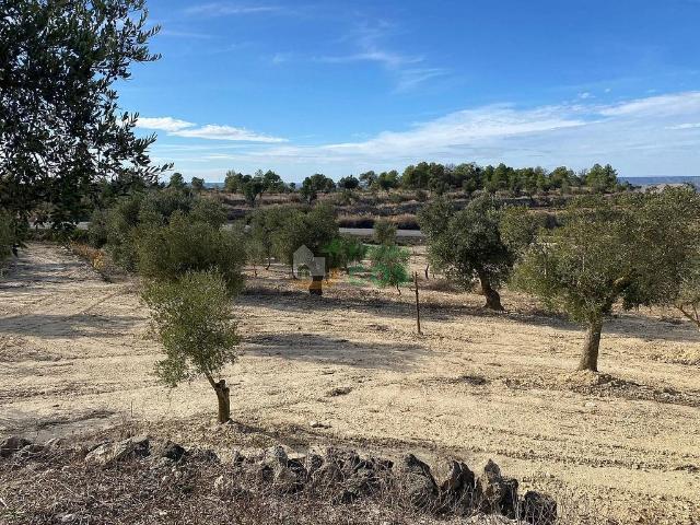 Casa Rural en venta en Segrià, Catalunya