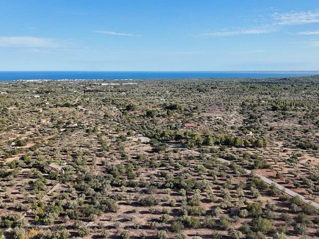 Casa Rural en venta en Baix Ebre, Catalunya