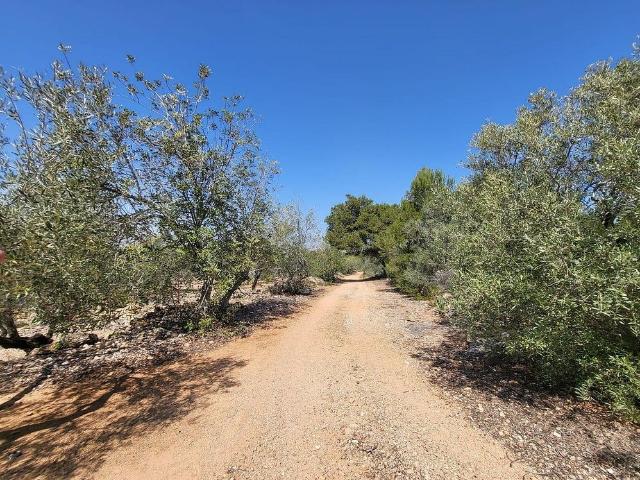 Casa Rural en venta en Baix Ebre, Catalunya