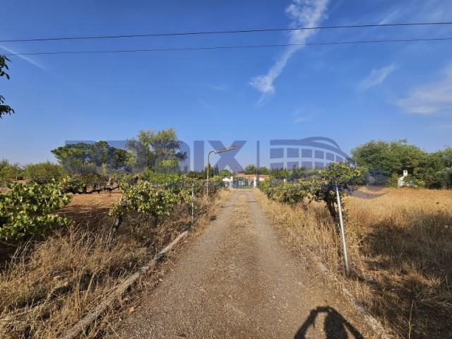 Casa Rural en venta en Barriada Fraternidad, Argamasilla De Calatrava