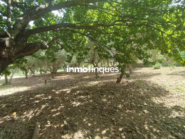 Casa Rural en venta en Balaguer