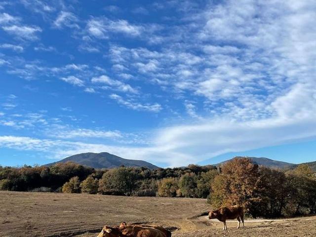 Casa Rural en venta en Bescanó