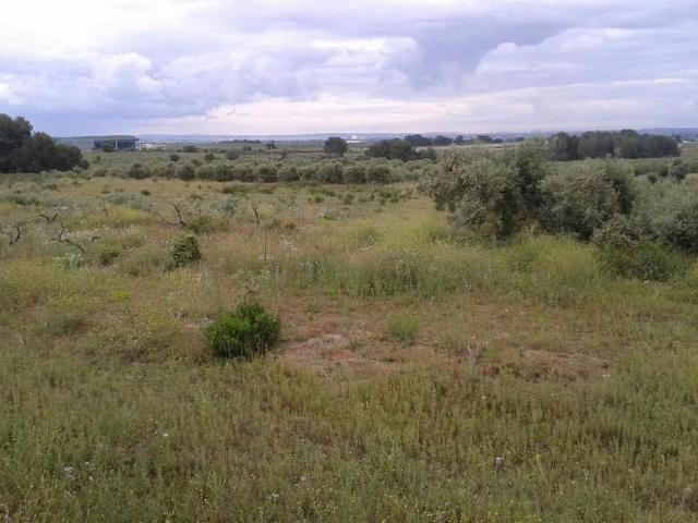 Casa Rural en venta en Botarell