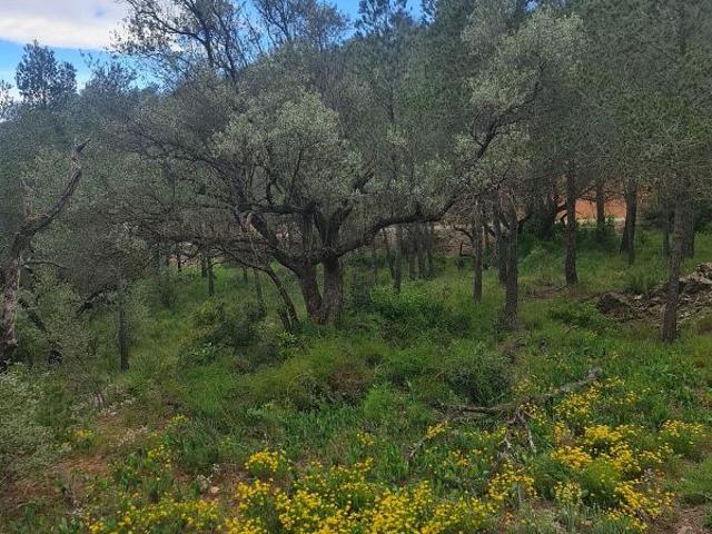 Casa Rural en venta en Ribera d'Ebre, Catalunya