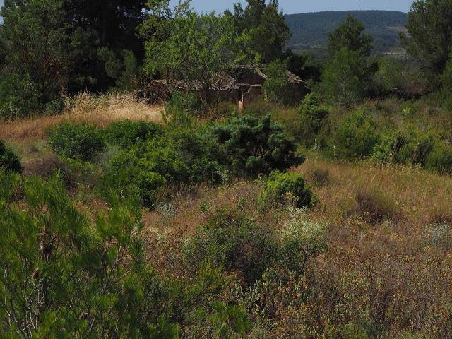 Casa Rural en venta en Batea