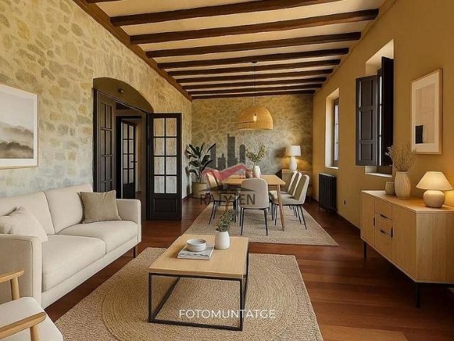 Casa Rural en venta en Saus, Girona