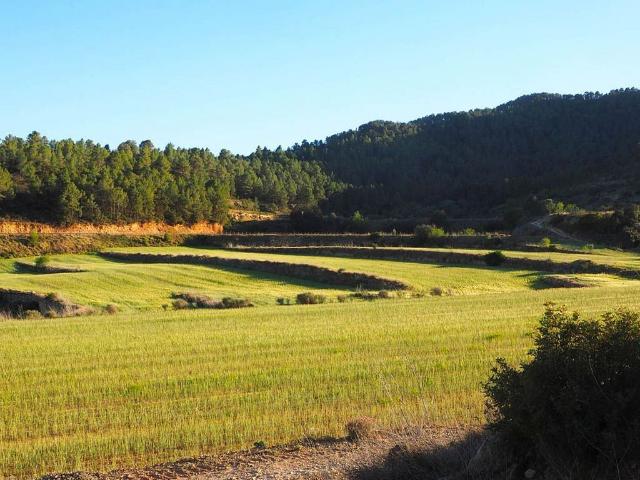 Casa Rural en venta en Bot