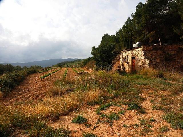 Casa Rural en venta en Corbera D'ebre