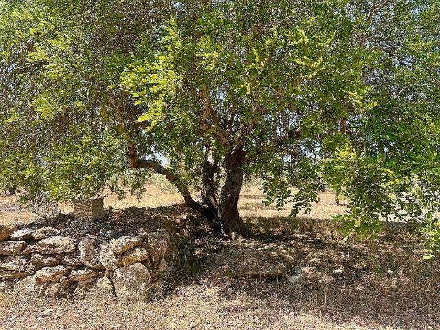 Casa Rural en venta en Baix Ebre, Catalunya