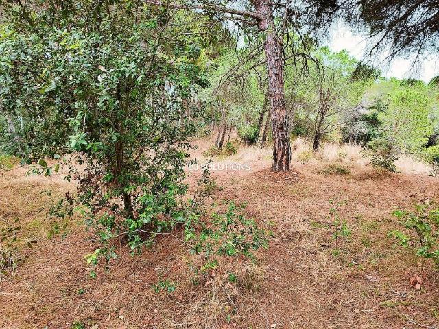Casa Rural en venta en Maresme, Catalunya