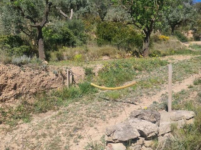 Casa Rural en venta en Ribera d'Ebre, Catalunya