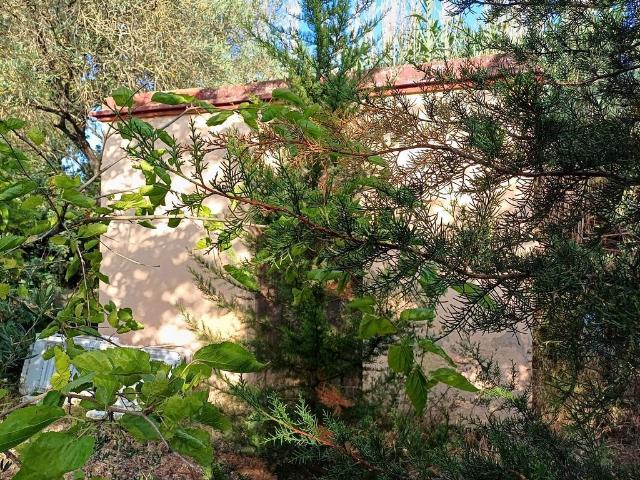 Casa Rural en venta en Ginestar
