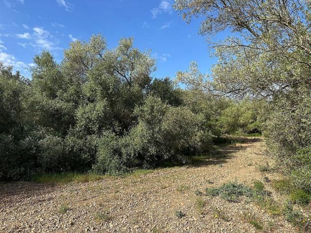 Casa Rural en venta en els Reguers, Baix Ebre