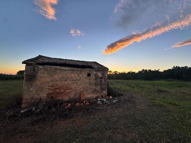 Casa Rural en venta en Polígon industrial de Constantí, Constantí