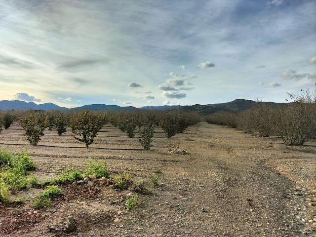 Casa Rural en venta en Alt Camp, Catalunya