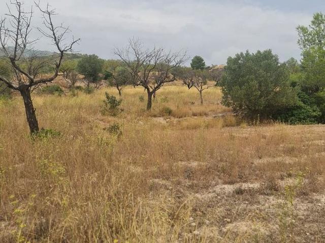 Casa Rural en venta en Terra Alta, Catalunya
