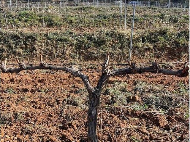 Casa Rural en venta en Priorat, Catalunya