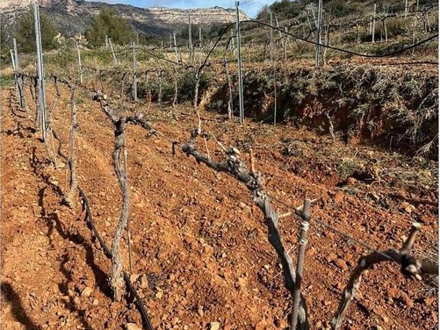 Casa Rural en venta en Priorat, Catalunya