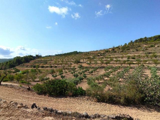 Casa Rural en venta en Terra Alta, Catalunya