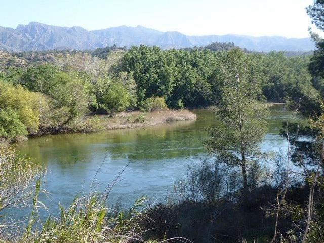 Casa Rural en venta en Ribera d'Ebre, Catalunya