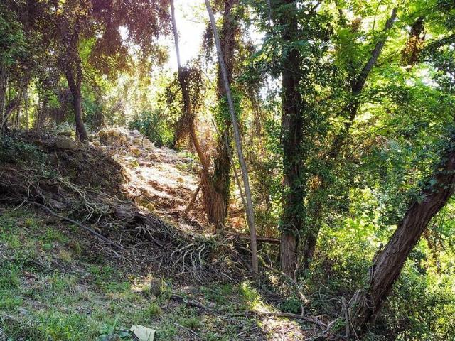 Casa Rural en venta en Pla de l'Estany, Catalunya