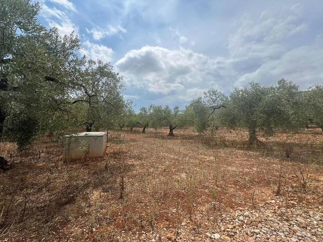 Casa Rural en venta en Montsià, Catalunya