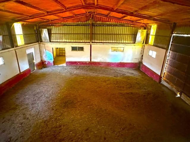 Casa Rural en venta en Madridejos, Castilla-La Mancha