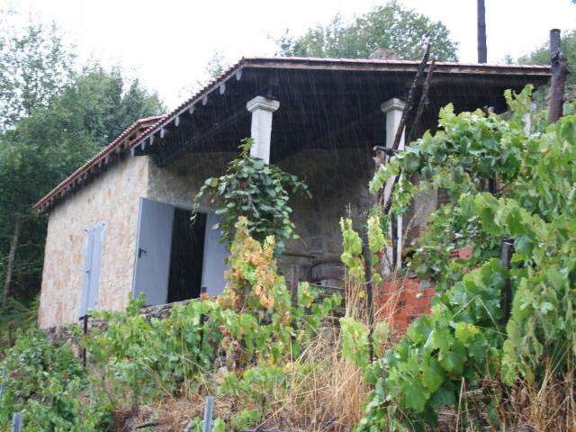 Casa Rural en venta en O Saviñao, O Piago