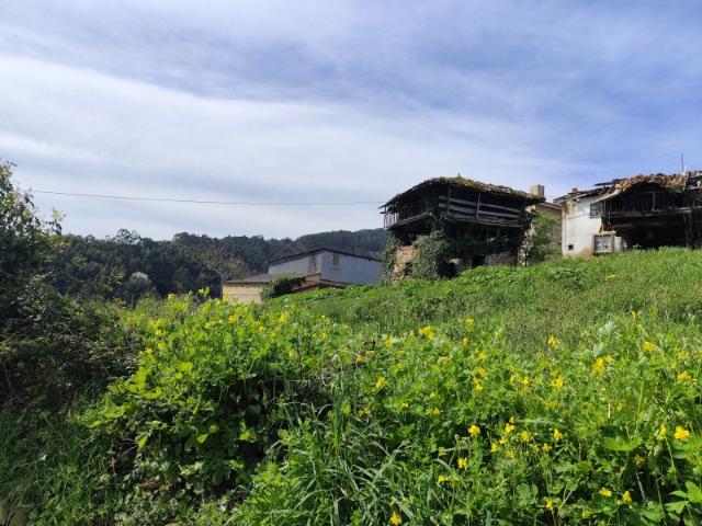 Casa Rural en venta en Los Cabos, Pravia