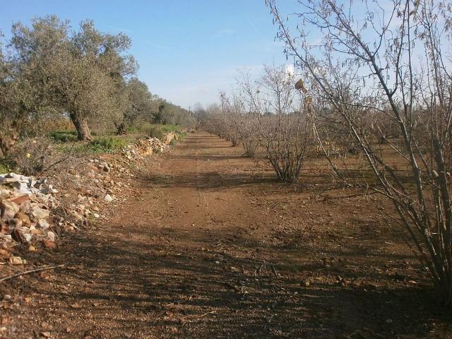 Casa Rural en venta en Baix Camp, Catalunya