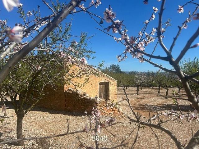 Casa Rural en venta en Baix Ebre, Catalunya