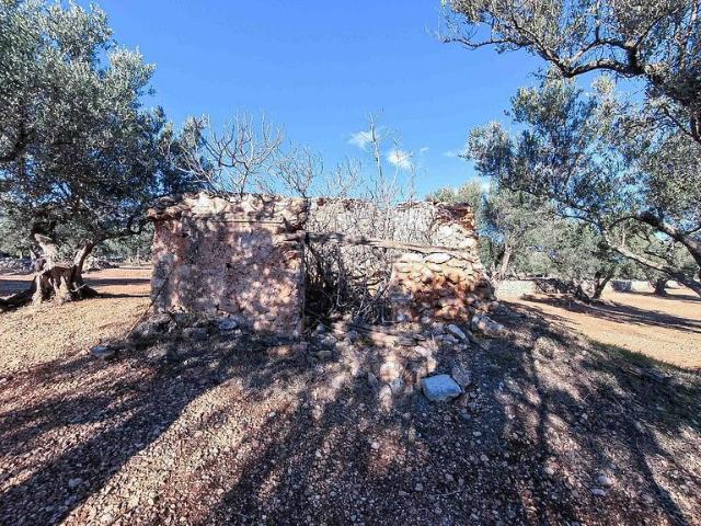 Casa Rural en venta en Baix Ebre, Catalunya