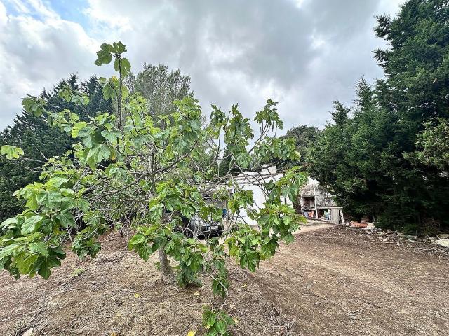 Casa Rural en venta en Baix Camp, Catalunya