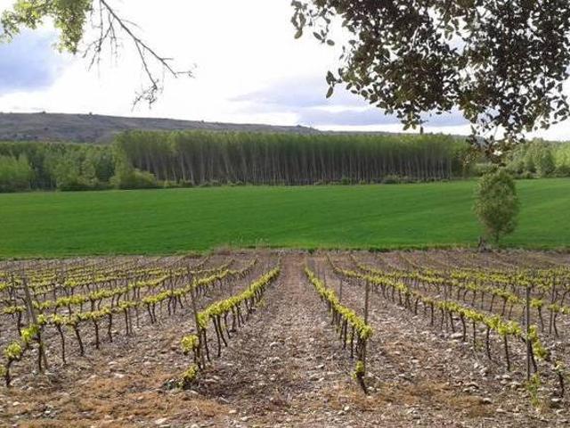 Casa en alquiler en Uruñuela, La Rioja