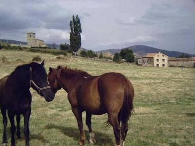 Casa en alquiler en Barruelo De Santullán, Castilla y León