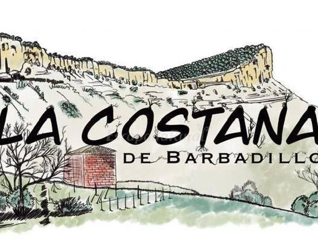 Casa en alquiler en Barbadillo Del Mercado, Castilla y León
