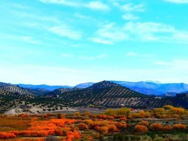 Casa en alquiler en Martos, Andalucía