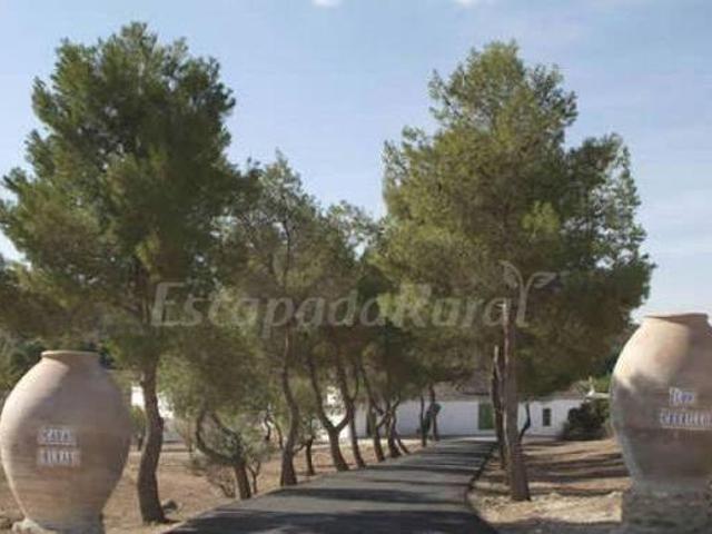 Casa en alquiler en Argamasilla De Alba, Castilla-La Mancha