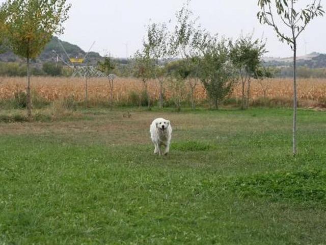 Casa en alquiler en Toro, Castilla y León