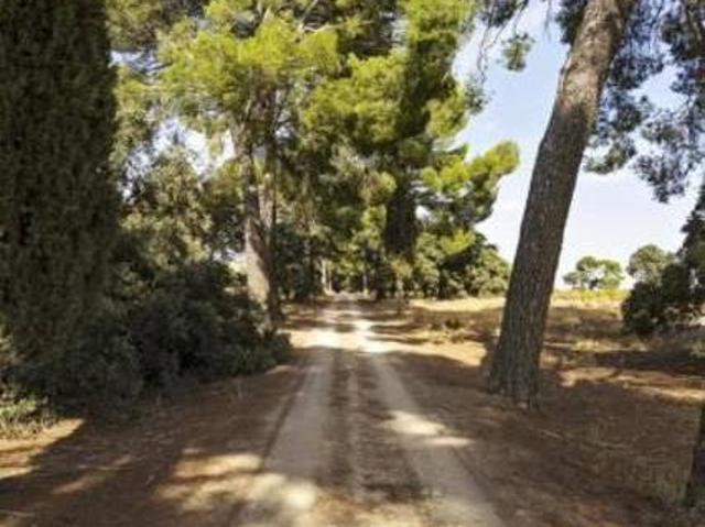 Casa en alquiler en Corral De Almaguer, Toledo