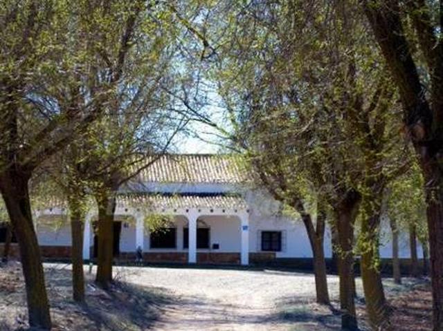Casa en alquiler en Pétrola