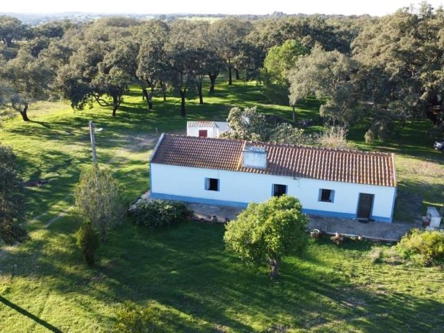 Vivenda venda em Abela, Abela