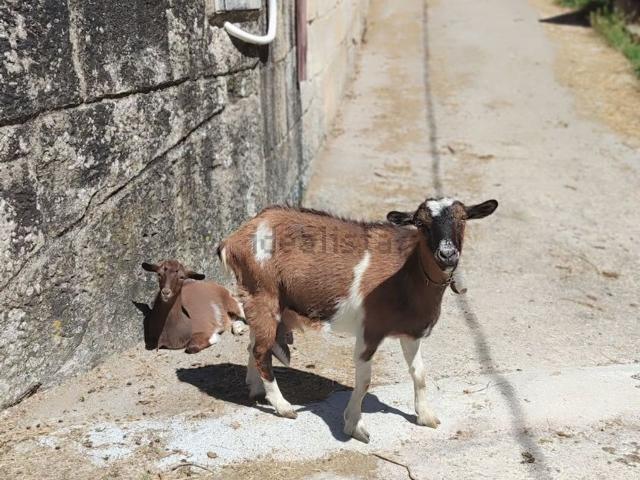 Casa Rural en venta en A Cañiza
