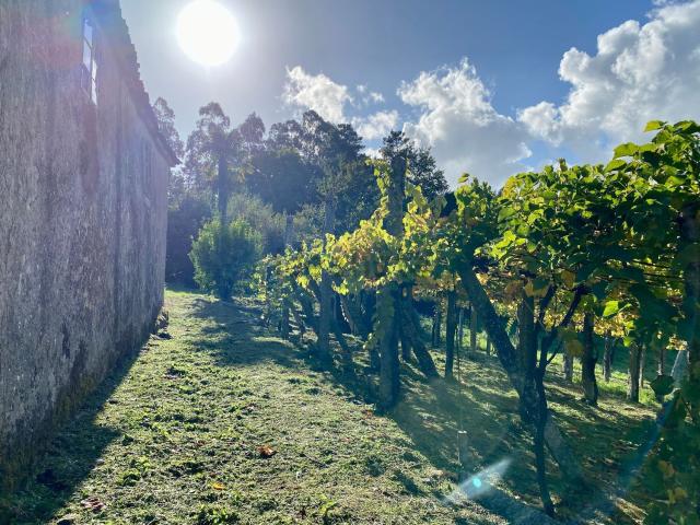 Casa Rural en venta en Loimil do Carballo, Tabeirós - Terra de Montes